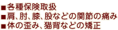 各種保険取扱/関節痛/体の歪み/猫背矯正など